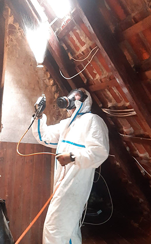 Hausbockbekämpfung und Holzschutz in Hamburg Hausbockbekämpfung und Holzschutz in Hamburg