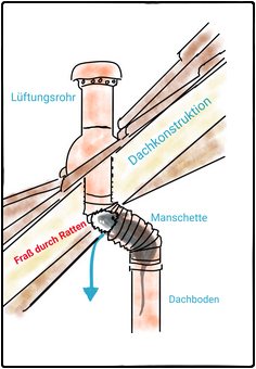 Rattenbefall in Hamburg - Durch die Lüftung auf den Dachboden Rattenbefall in Hamburg - Durch die Lüftung auf den Dachboden