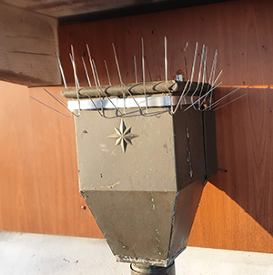 Taubenabwehr auf dem Balkon Taubenabwehr auf dem Balkon